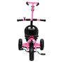 Imagem de Triciclo Mini Bike 3 Rodas Infantil Crianças Rosa Até 25 Kg Com Cestinhas E Haste Direcional - Zippy Toys