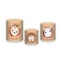 Imagem de Trio De Capa Cilindro - Arca de Noé Animais Cute 004