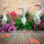 Imagem de Trio de Garças Brancas em Cerâmica Decorativas - Enfeite Casa e Jardim