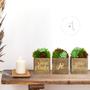 Imagem de Trio De Vasinhos Decorativos - Enfeite Para Sala - Frase Espelhada