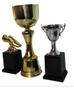 Imagem de Trofeu Modelo Calice + 2 Premiações De Esportes Individual
