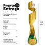 Imagem de Troféu Taça Da Copa Do Mundo Feminino Pequeno Em Resina
