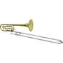 Imagem de Trombone De Vara Com Rotor Tb 200vr Laqueado Dourado Com Case New York