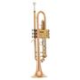 Imagem de Trompete em Sib Bb Tokai Gold Brass Alpaca Laqueado TR400GB