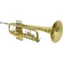 Imagem de Trompete Tp 200 Laqueado Dourado Com Case New York