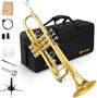 Imagem de Trompete Vangoa Bb - Instrumento de Metal Dourado com Acessórios
