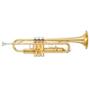 Imagem de Trompete YTR 2330 CN Laqueado Dourado com Case Yamaha