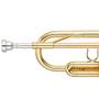 Imagem de Trompete YTR 3335 CN Laqueado Dourado com Case Yamaha