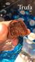 Imagem de Trufas chocolate Cacauway - combo com 10 trufas de 14g cada