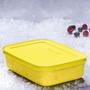 Imagem de Tupperware Freezer Line 1L