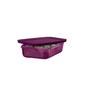 Imagem de Tupperware Freezer Line 1L