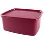 Imagem de Tupperware jeitosinho 400 ml Vinho