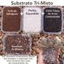 Imagem de Turfa Perlita e Casca de Arroz Carbonizada Substrato Misto plantar Suculentas plantas geral enraizar semear - 50 Litros