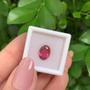 Imagem de Turmalina Pink Oval 2,37ct