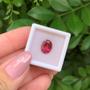 Imagem de Turmalina Rubelita Oval 2,93ct