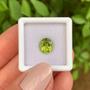 Imagem de Turmalina Verde Amarelado Oval 1,70ct