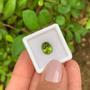 Imagem de Turmalina Verde Amarelado Oval 2,67ct