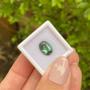 Imagem de Turmalina Verde Azulada Oval 3,37ct