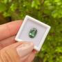 Imagem de Turmalina Verde Azulada Oval 3,37ct