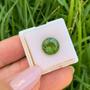 Imagem de Turmalina Verde Brilhante ø10mm 3,90ct