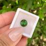 Imagem de Turmalina Verde Brilhante ø8,8mm 2,77ct