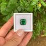 Imagem de Turmalina Verde Cushion 12,85ct