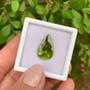 Imagem de Turmalina Verde Gota 9,91ct