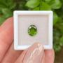 Imagem de Turmalina Verde Oval 1,53ct