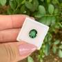 Imagem de Turmalina Verde Oval 2,71ct