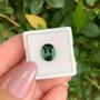 Imagem de Turmalina Verde Oval 2,75ct (1)