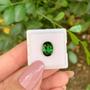 Imagem de Turmalina Verde Oval 2,85ct