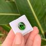 Imagem de Turmalina Verde Oval 5,50ct