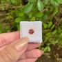 Imagem de Turmalina Vermelha Brilhante ø6,55mm 1,17ct