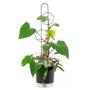 Imagem de Tutor Suporte Estaca Para Plantas Decorativa 80cm Esferas Branco Para Planta Pendente Trepadeira - Vaso Raiz