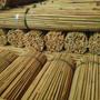 Imagem de Tutores de Bambu para Reflorestamento: 1.4mt - 1Mil