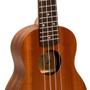 Imagem de Ukulele Acustico BENSON UB-21-B - BENSON