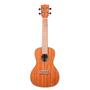 Imagem de Ukulele Kala Ka-Cg Concert Gloss Mahogany