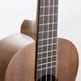 Imagem de Ukulele kalani baritono 30 tribes series tabaco sapele kal 200 bt com capa (15413)