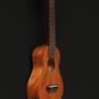 Imagem de Ukulele Soprano Takamine GUS1 Mahogany com Capa Bag