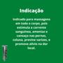 Imagem de Unguento Massageador Pierry Wermon Extrato de Canela Bisnaga 100g Kit 36 Unidades