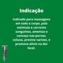 Imagem de Unguento Massageador Pierry Wermon Extrato de Canela Bisnaga 100g Kit 8 Unidades
