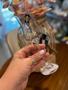 Imagem de Unidade Taça para grappa e licor cristal ecológico 85ml