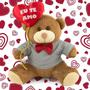 Imagem de Ursinho de Pelúcia Com Balão Eu te Amo Antialérgico 20cm Urso Romântico Namorada Namorado - Toybrink