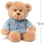 Imagem de Ursinho de pelúcia GUND It's a Boy” Message Bear 30 cm com camiseta azul