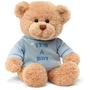 Imagem de Ursinho de pelúcia GUND It's a Boy” Message Bear 30 cm com camiseta azul