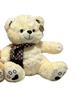 Imagem de Urso de Pelúcia com Cachecol FE6904-Fizzy