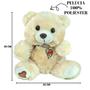 Imagem de Urso de pelucia de poliester com laço 25cm