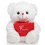 Imagem de Urso de Pelúcia HollyHome Teddy Bear Rose - 30cm - Branco