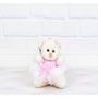 Imagem de Urso tedde 12 cm  bailarina pelucia palha