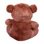 Imagem de Urso Ursinho De Pelúcia Antialérgico Teddy 36cm Com Laço - Barros Baby Store
